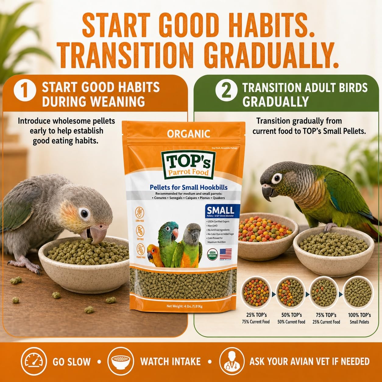 TOP's Parrot Food bol dans une cage, oiseau mangeant naturellement