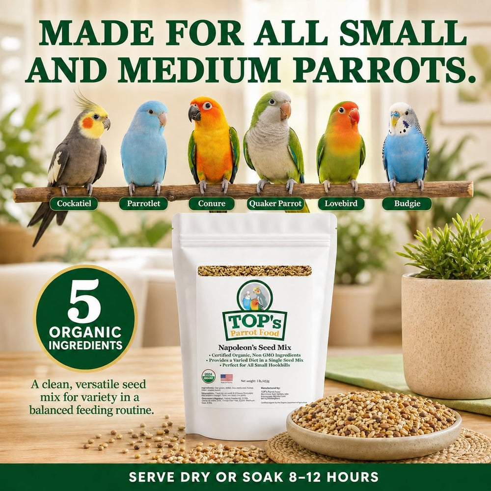TOP's Parrot Food présenté dans une cage, démontrant compatibilité d’utilisation quotidienne