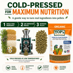 TOP's Parrot Food granulés dans une cuve, facile à distribuer et stable