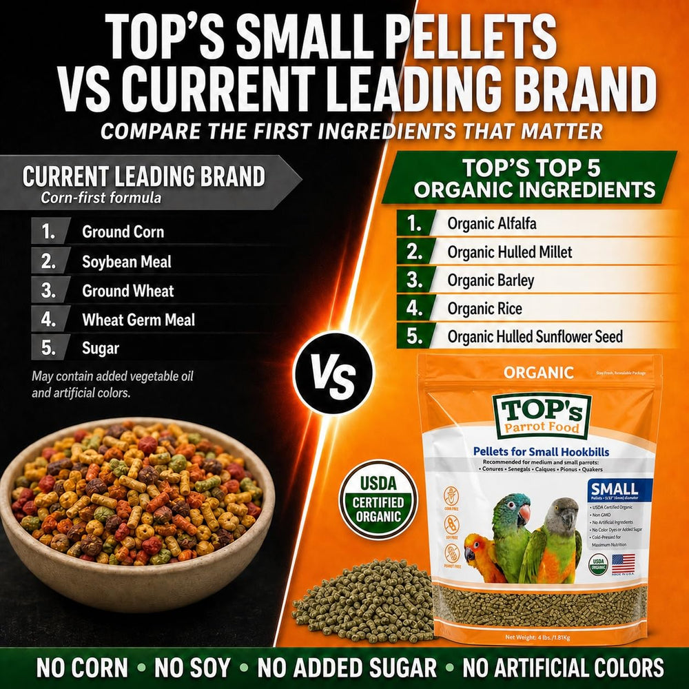 TOP's Parrot Food ingrédients frais alignés, illustrant l'origine naturelle