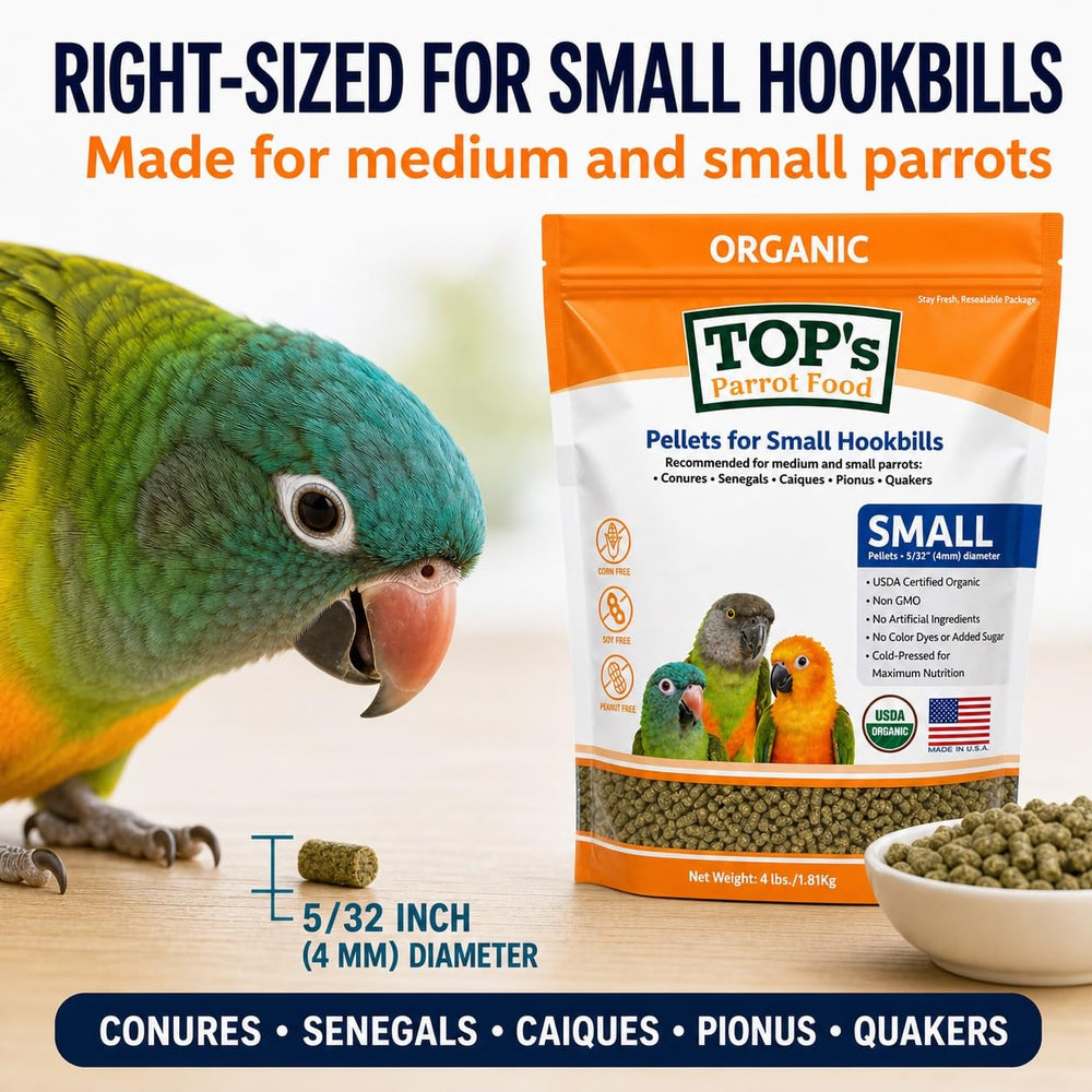 TOP's Parrot Food portion dans la main montrant la taille et densité pratique
