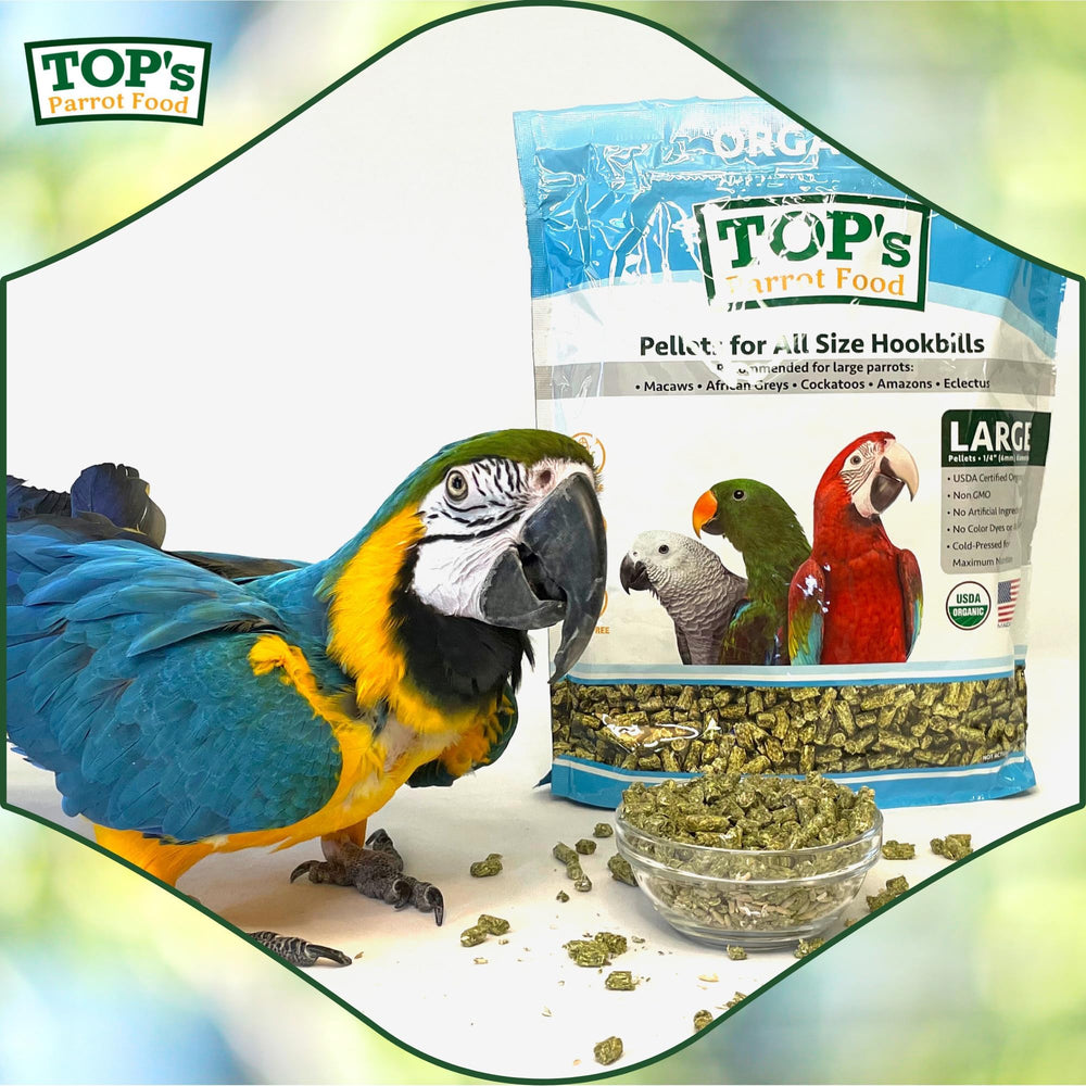 TOP's Parrot Food comparaison de taille de granule, aide à choisir la granulométrie