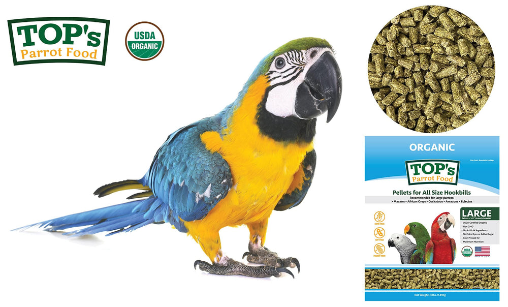 TOP's Parrot Food granulés dans la main, montre la taille et facilite l'évaluation