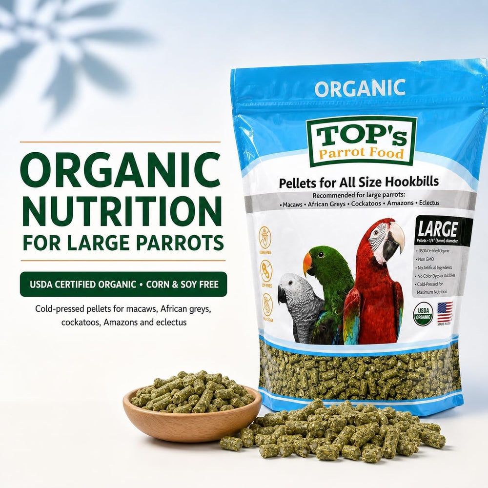 TOP's Parrot Food gros plan granulés montrant texture préservée