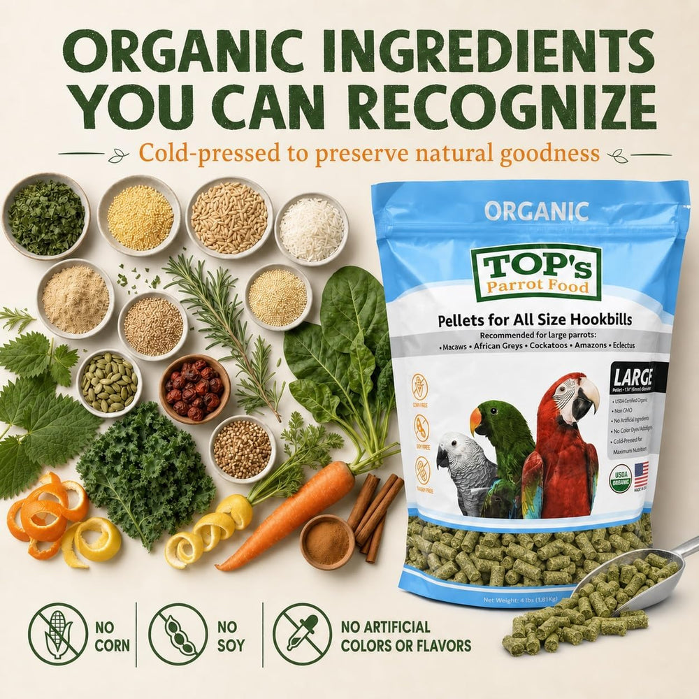 TOP's Parrot Food zoom ingrédients montrant composition naturelle