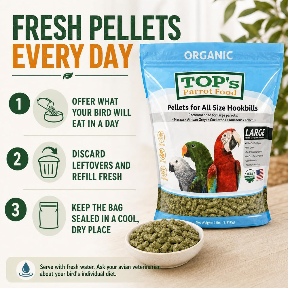 TOP's Parrot Food mise en scène sur table illustrant portion pratique