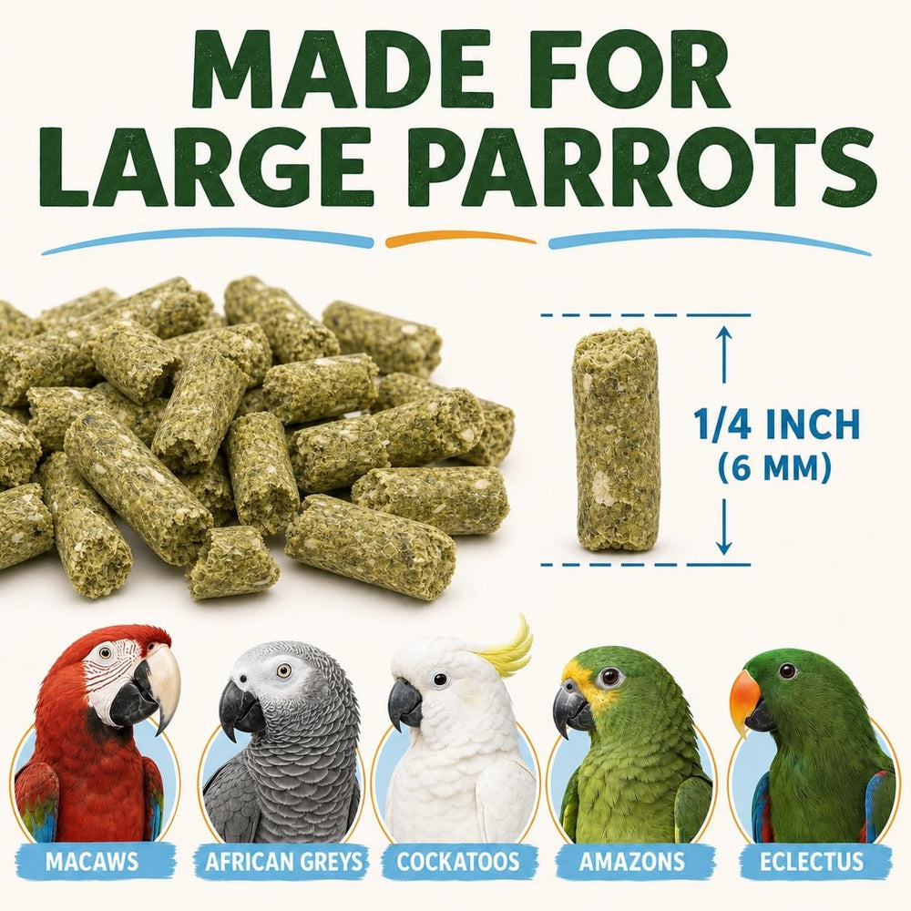 TOP's Parrot Food comparaison échelle montrant taille 1/4 pouce utile