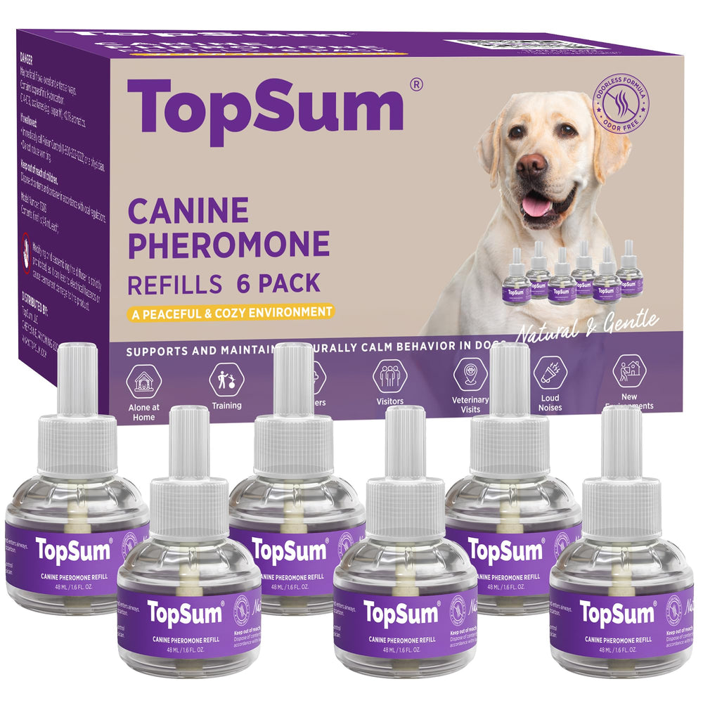 TopSum diffuseur face avant montrant design compact et calme immédiat
