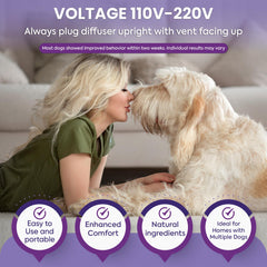 TopSum diffuseur en usage dans salon réduisant stress chez le chien