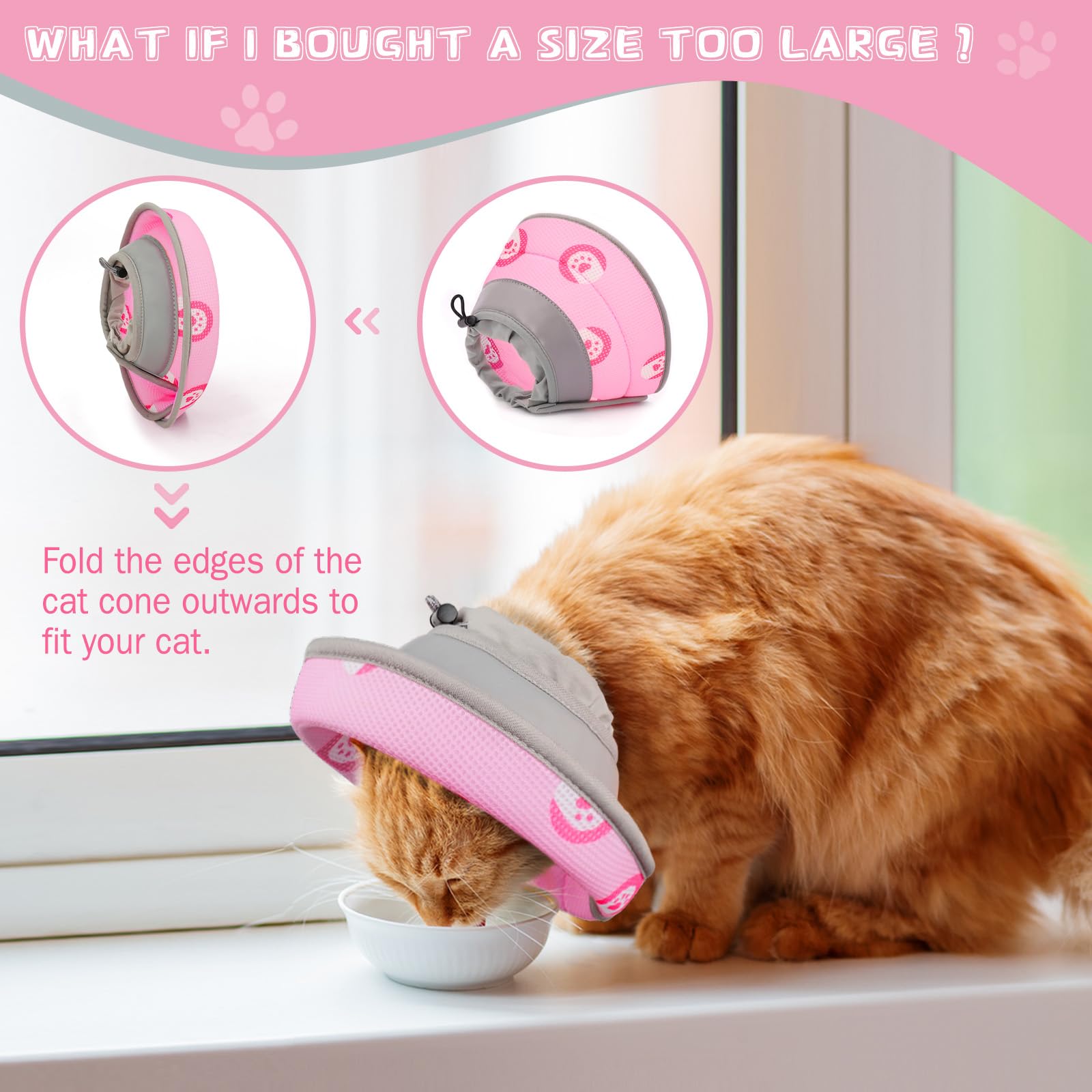 Toptakeit chat portant collerette confortable facilite repas et repos