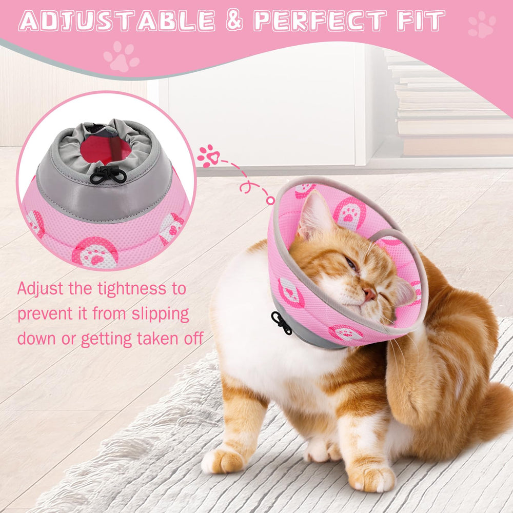 Toptakeit comparaison tailles indique ajustement pour chatons et chats