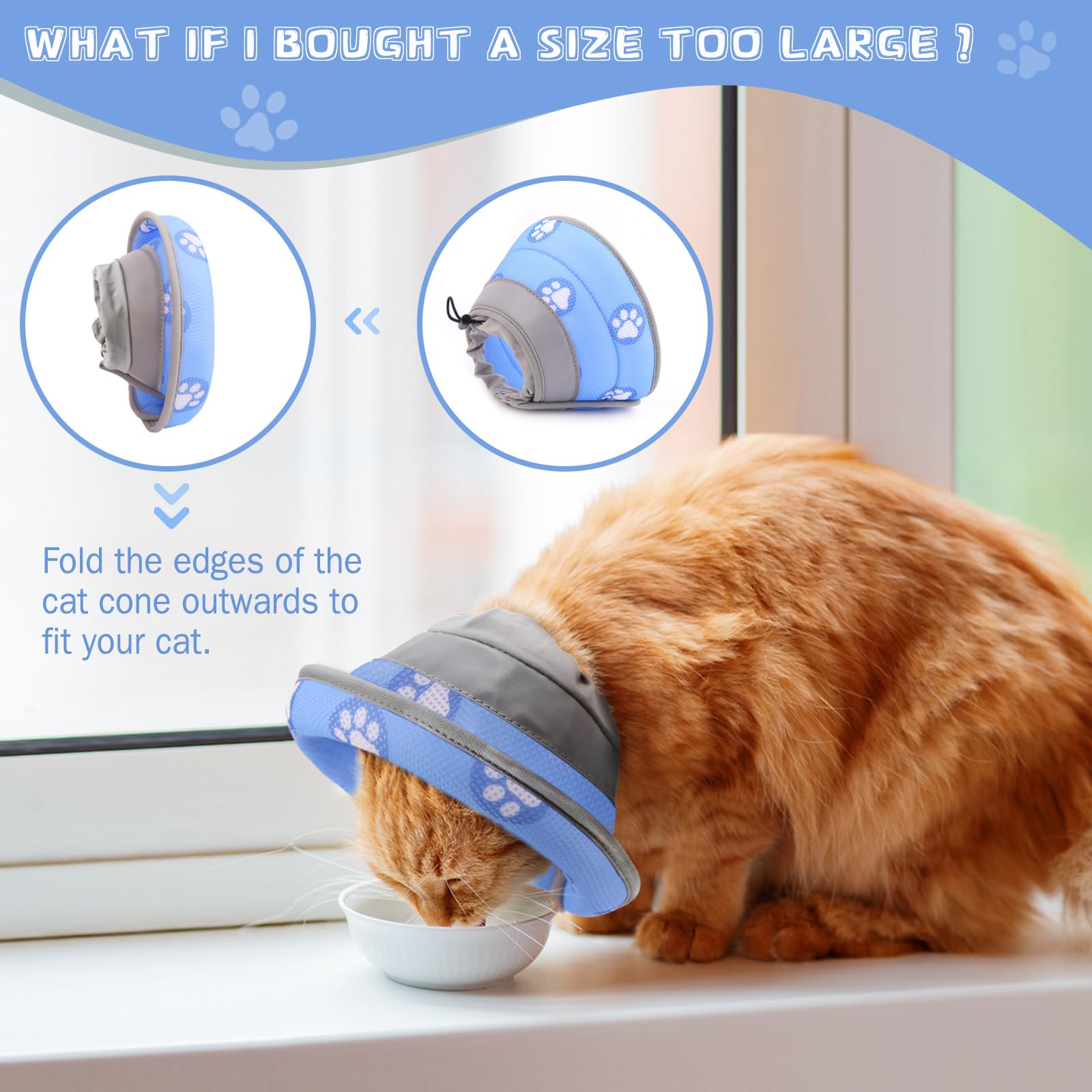 Toptakeit collerette échelle taille démontrant ajustement pour chaque chat