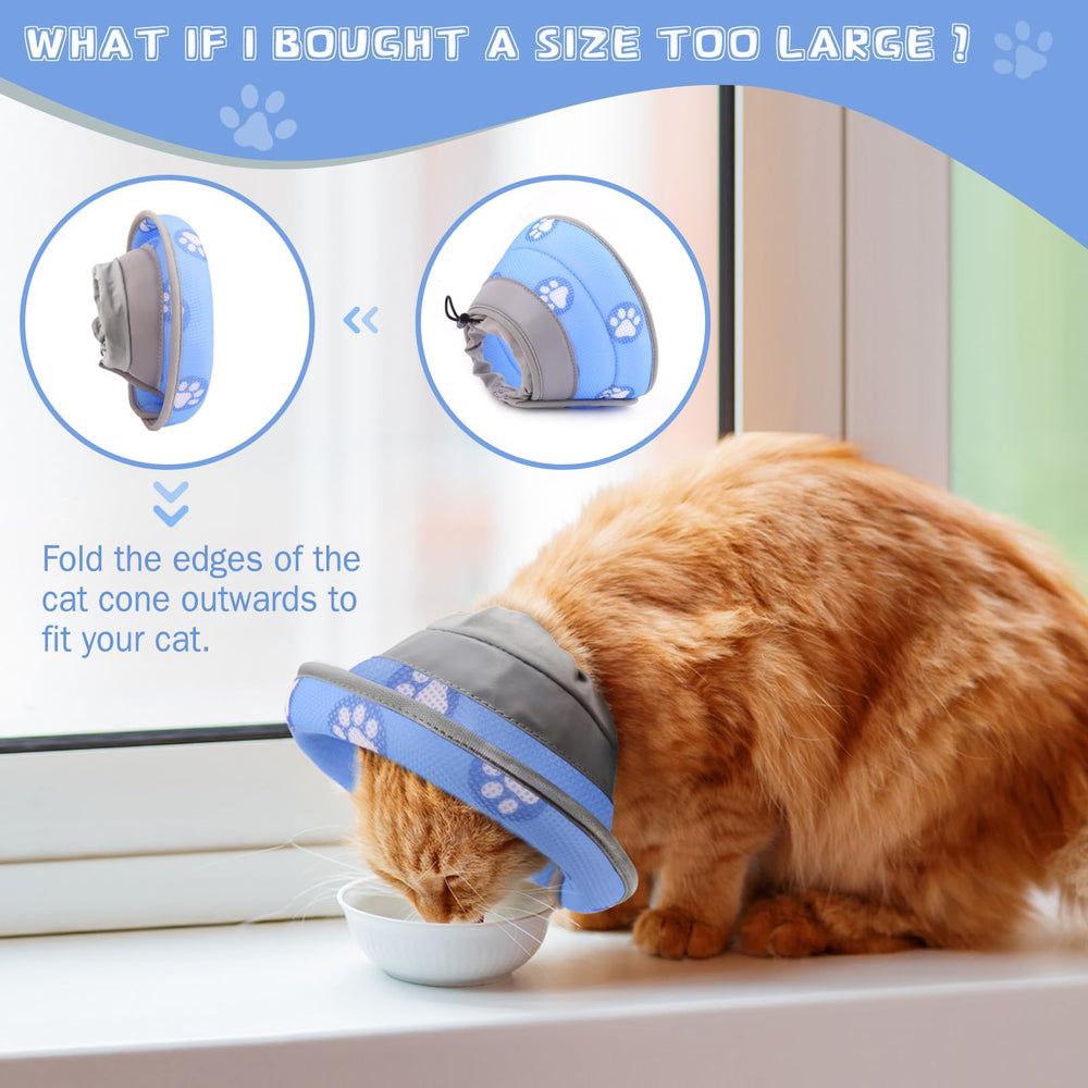 Toptakeit collerette échelle taille démontrant ajustement pour chaque chat