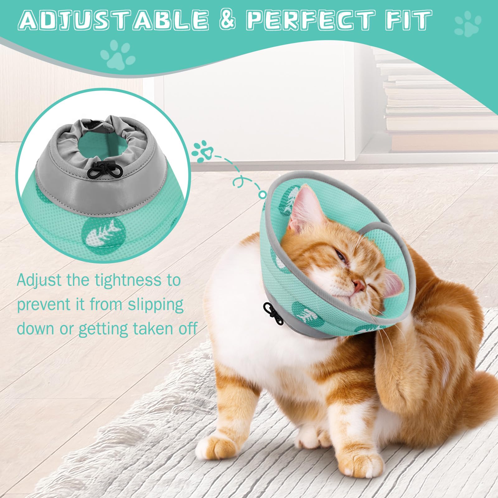 Toptakeit comparaison taille pour chaton et chat adulte ajustable