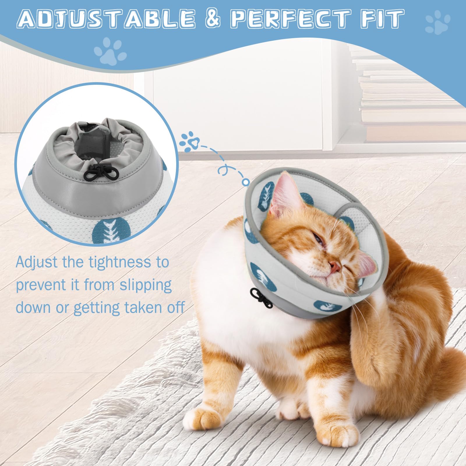 Toptakeit comparaison taille montre ajustement pour chat