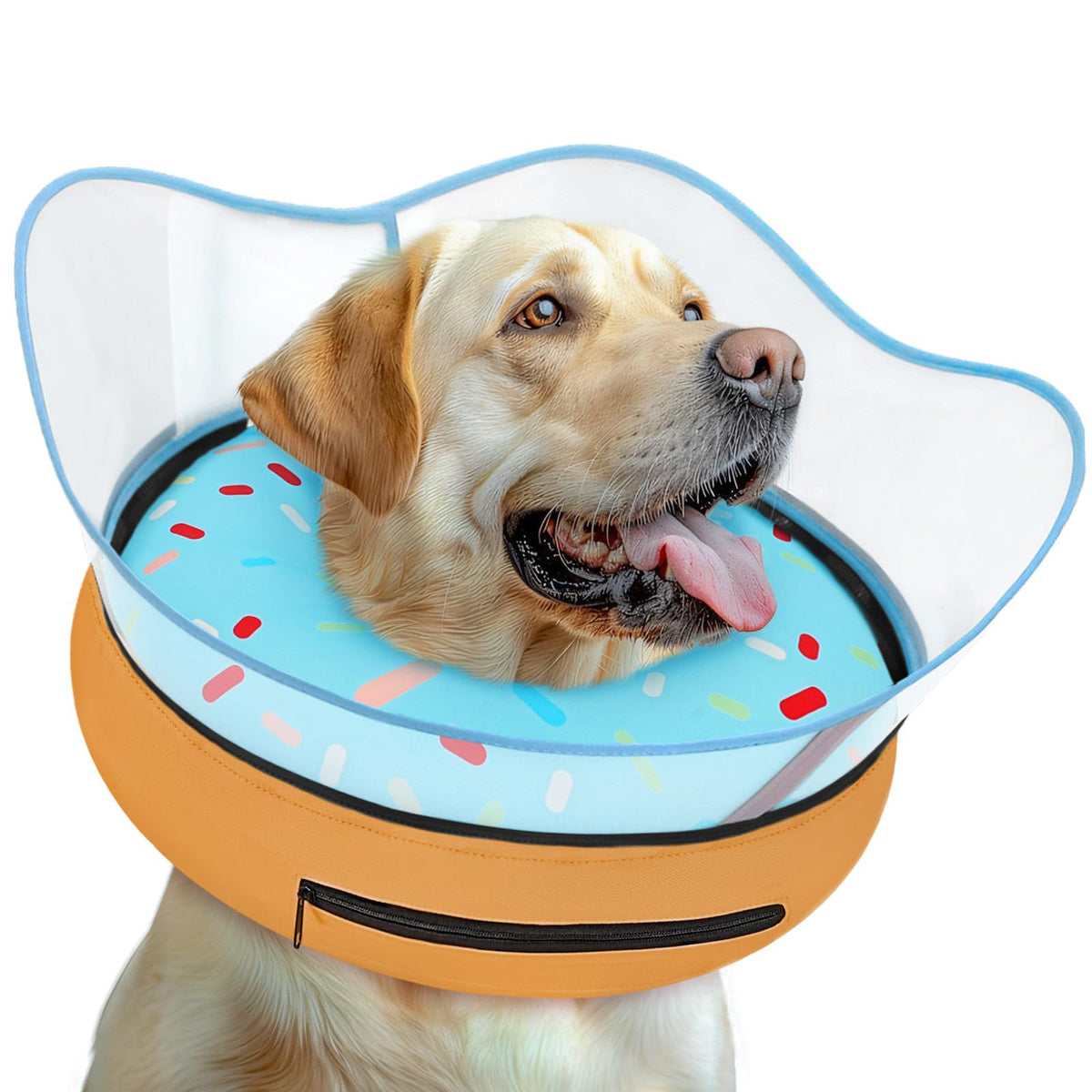 Toptakeit face avant du collier donut montrant design protecteur et confort
