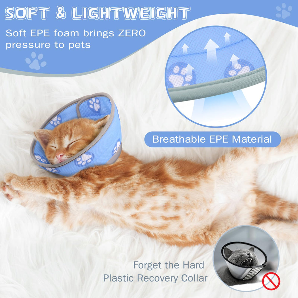 Toptakeit bord rabattable en gros plan préservant la vision du chat