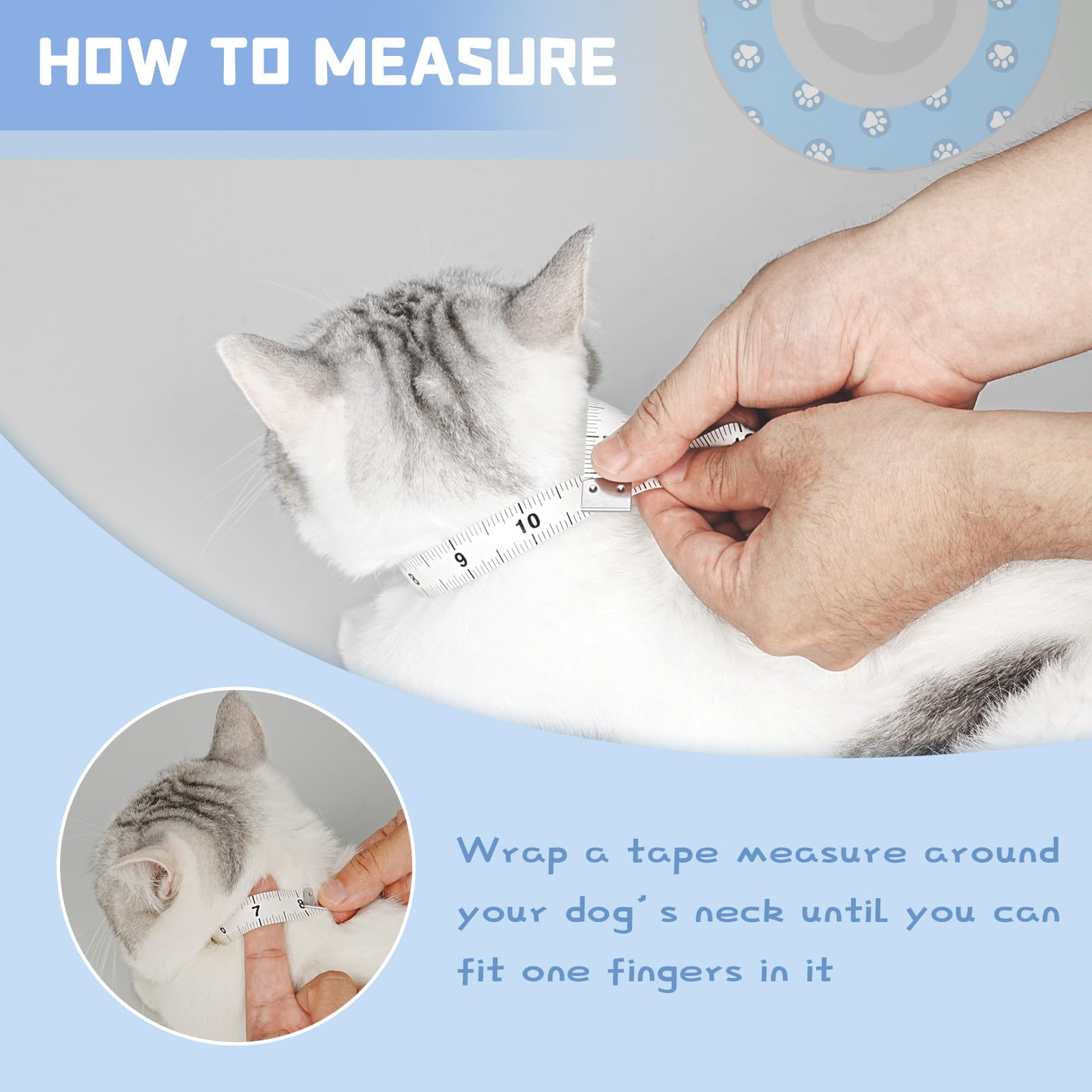 Toptakeit collier en situation domestique chat se reposant paisiblement
