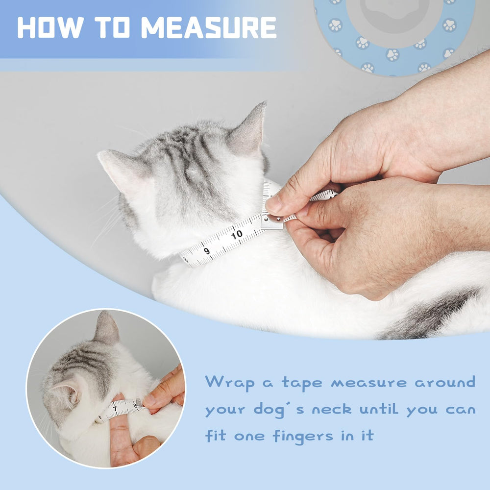 Toptakeit collier en situation domestique chat se reposant paisiblement