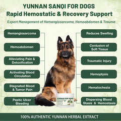 torramyzil poudre vue rapprochée texture fine pour absorption rapide