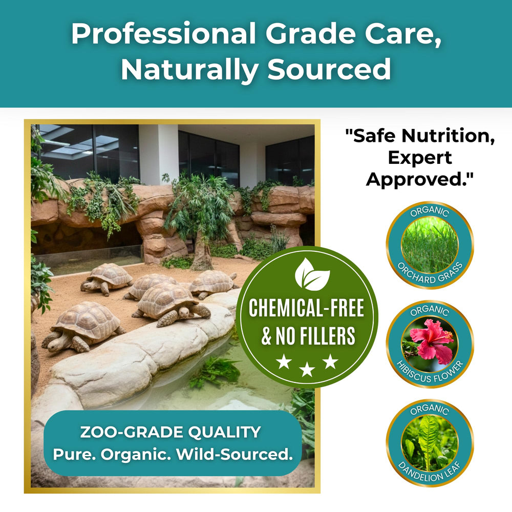 Tortoise Resource Center étiquette nutrition lisible indiquant calcium et minéraux essentiels