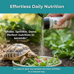 Tortoise Resource Center ingrédients organiques (foin, pissenlit, hibiscus) pour nutrition naturelle