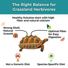 Tortoise Resource Center produit saupoudré sur salade pour tortue, facilite l'alimentation