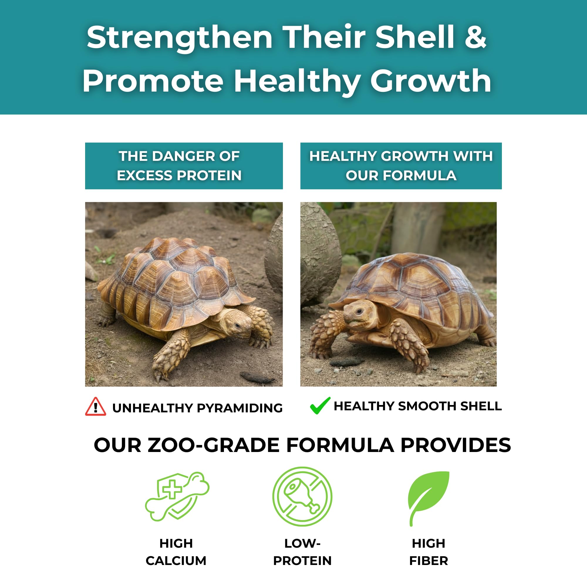 Tortoise Resource Center sachet à côté d'une main pour comparaison de taille et portion