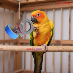 ToughRight perroquet mordillant un bagel pour stimulation et exercice du bec