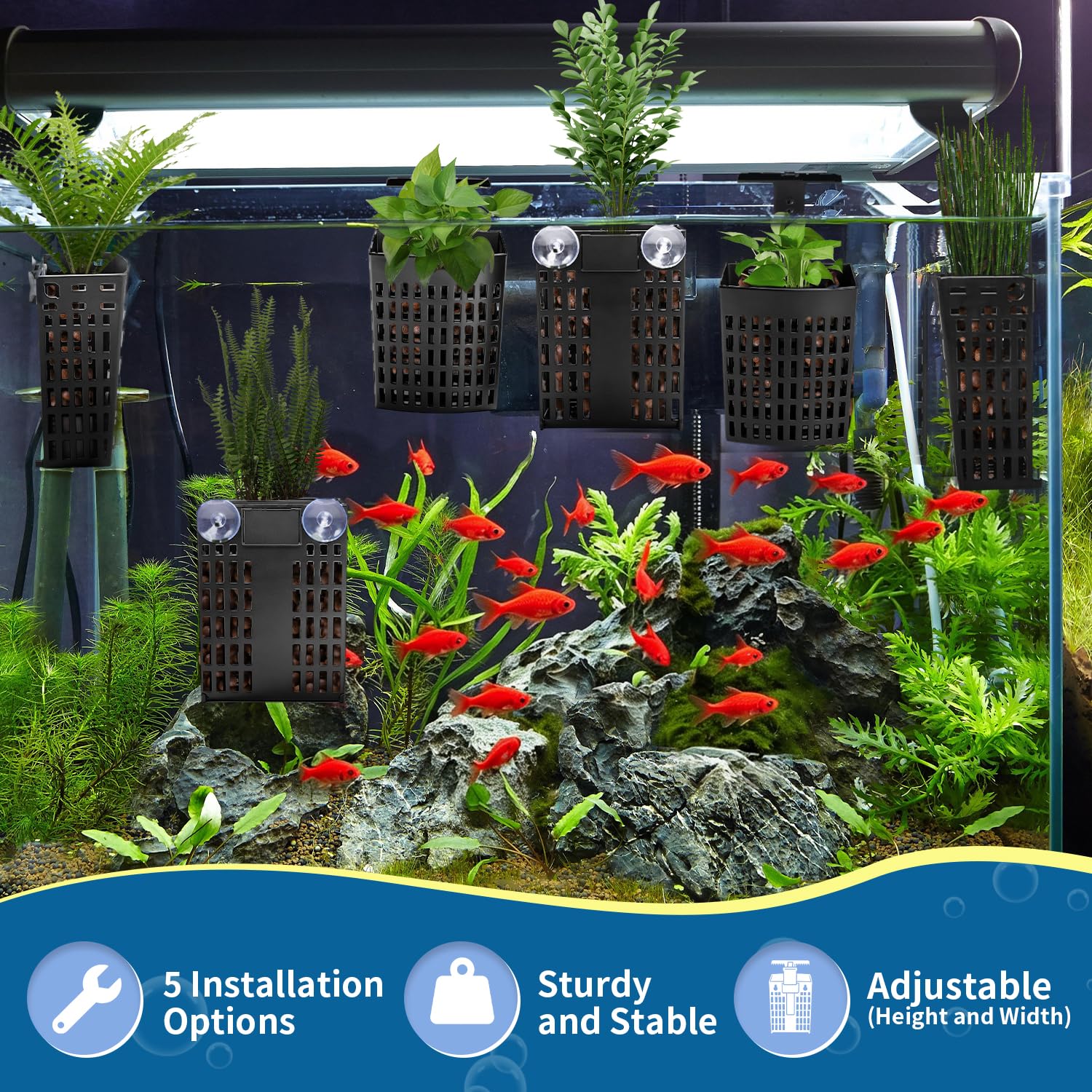 TOYEYE support fixé sur le rebord pour stabiliser plantes et décor