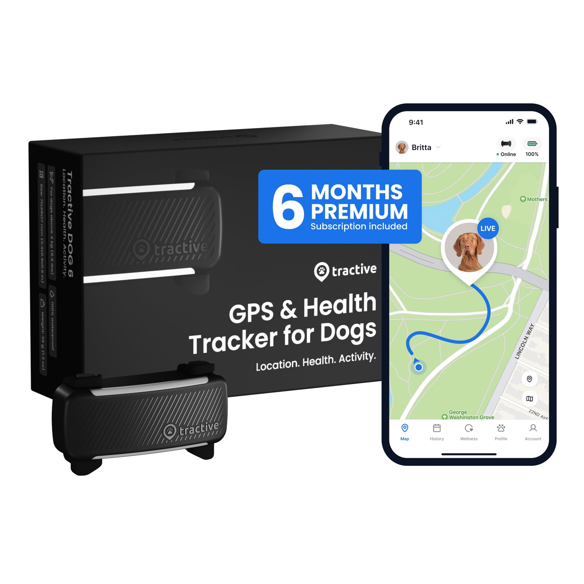 Tractive vue de face montrant le boîtier attaché au collier et une localisation rapide