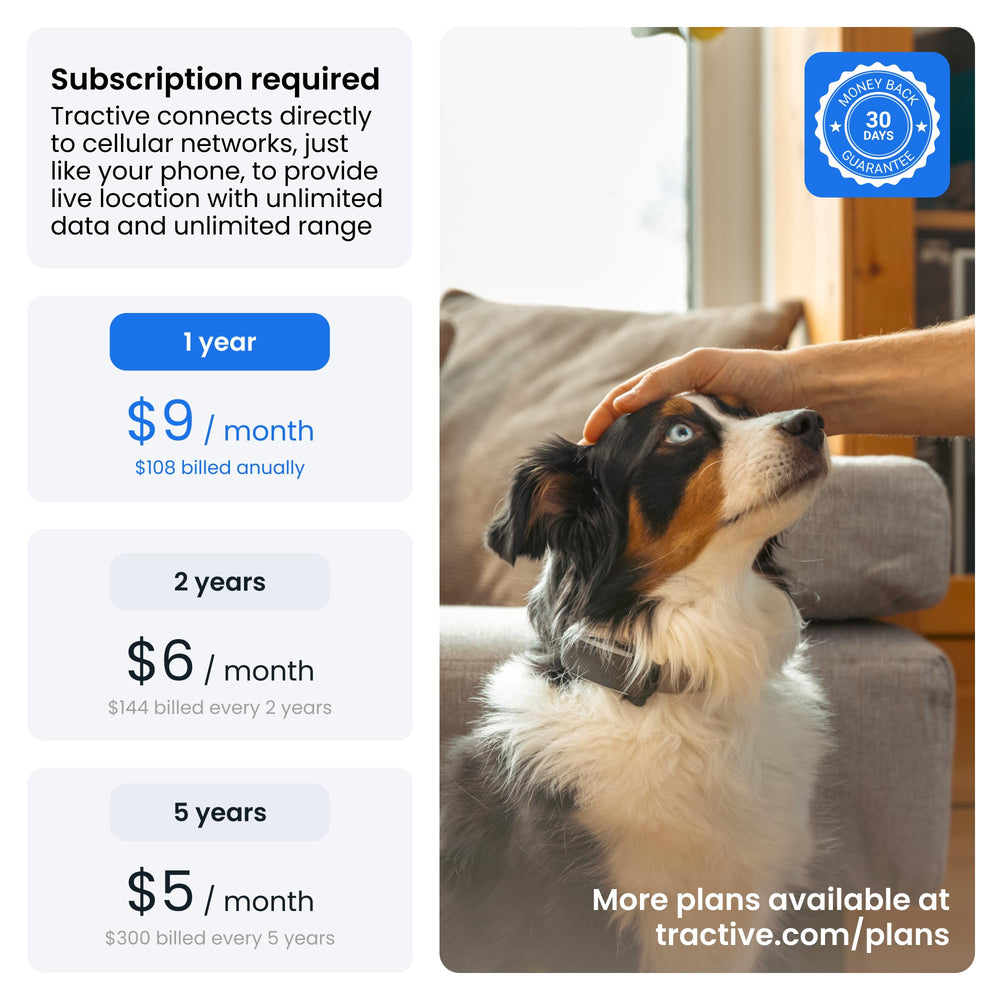 Tractive utilisation app smartphone carte pour suivi de localisation instantanée