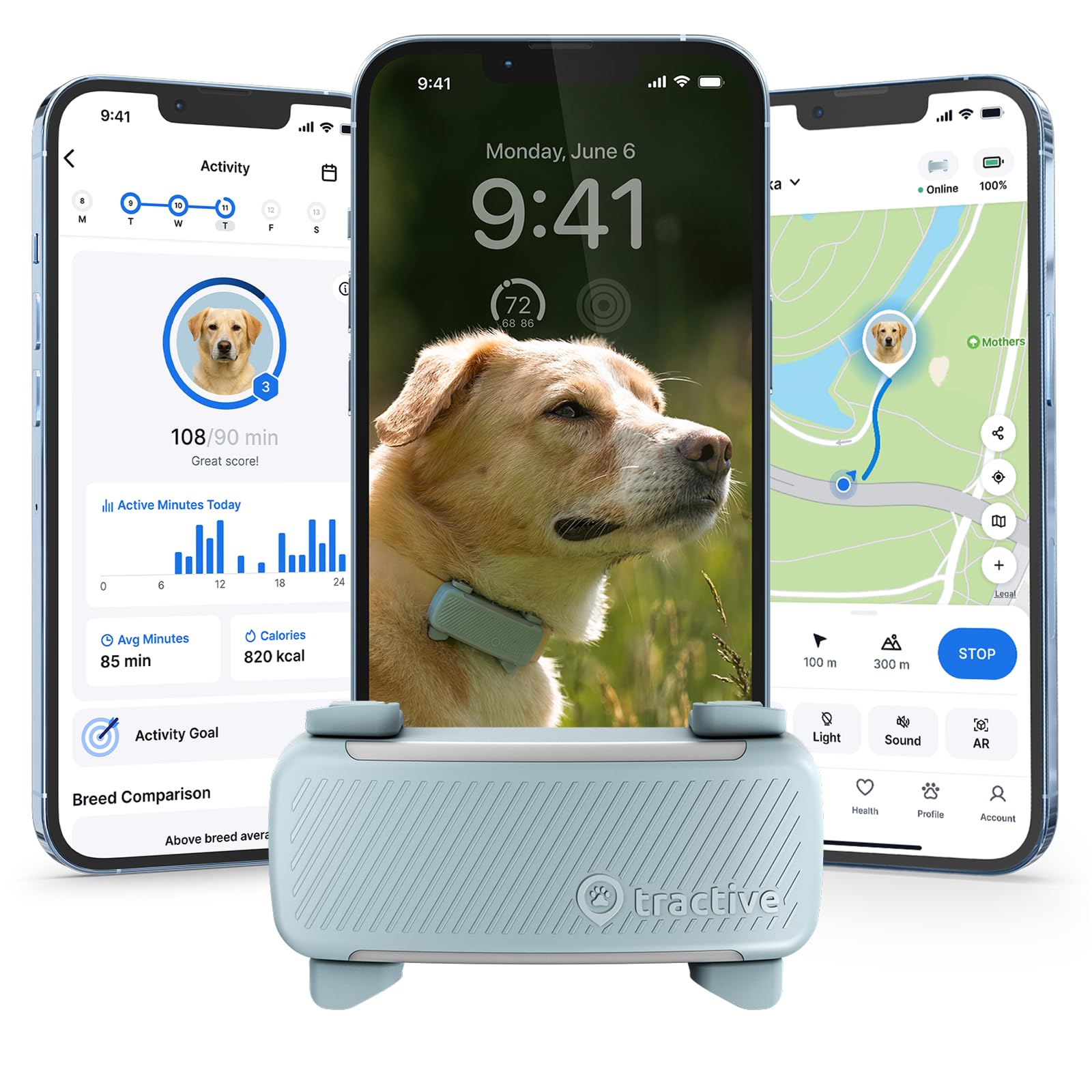 Tractive vue face emballage mint montrant le design et la couleur