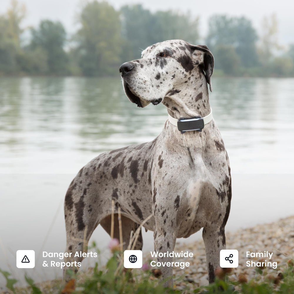Tractive XL emballage et contenu montrant accessoires inclus