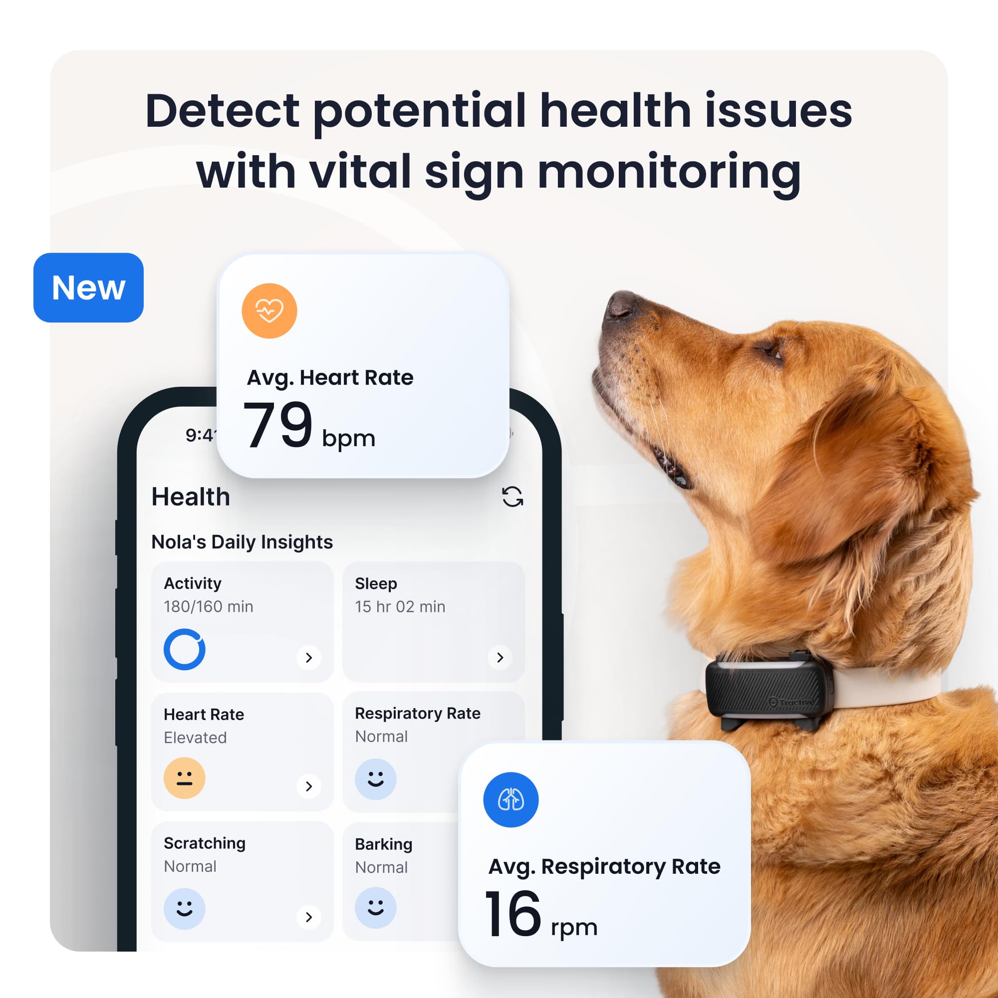 Tractive XL en action sur chien courant pour suivi en temps réel
