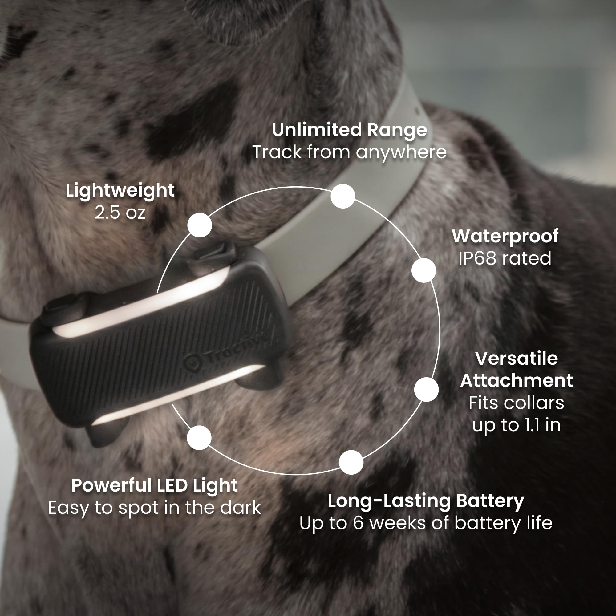 Tractive XL comparé à une main pour montrer taille et légèreté