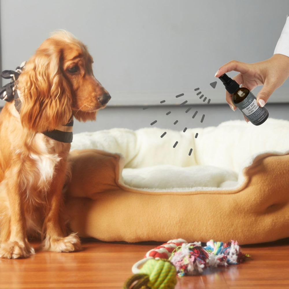 Tranquil Tails chien détendu sur couverture après utilisation apaisante