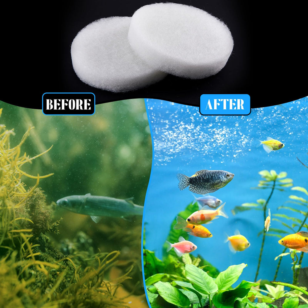 Tranqun tampon installé dans filtre Fluval FX démontrant facilité d'installation et performance