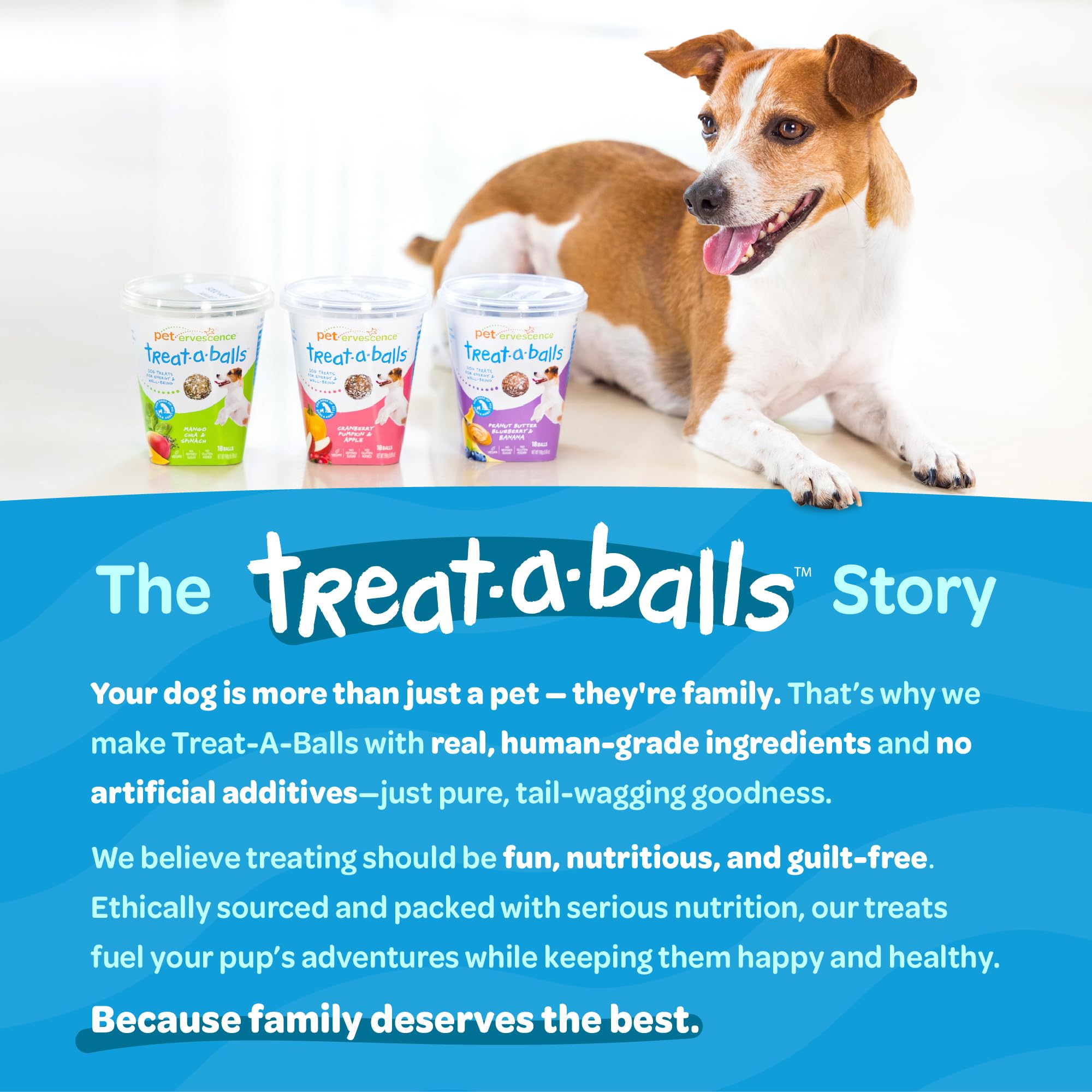 TREAT-A-BALLS chien acceptant friandise illustre plaisir et santé