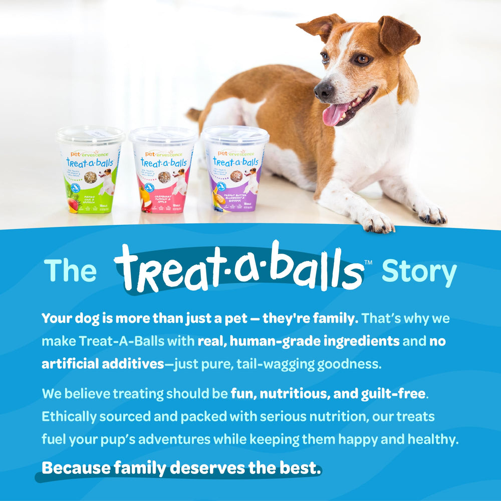 TREAT-A-BALLS étui ouvert révélant les 18 unités pratique pour les sorties