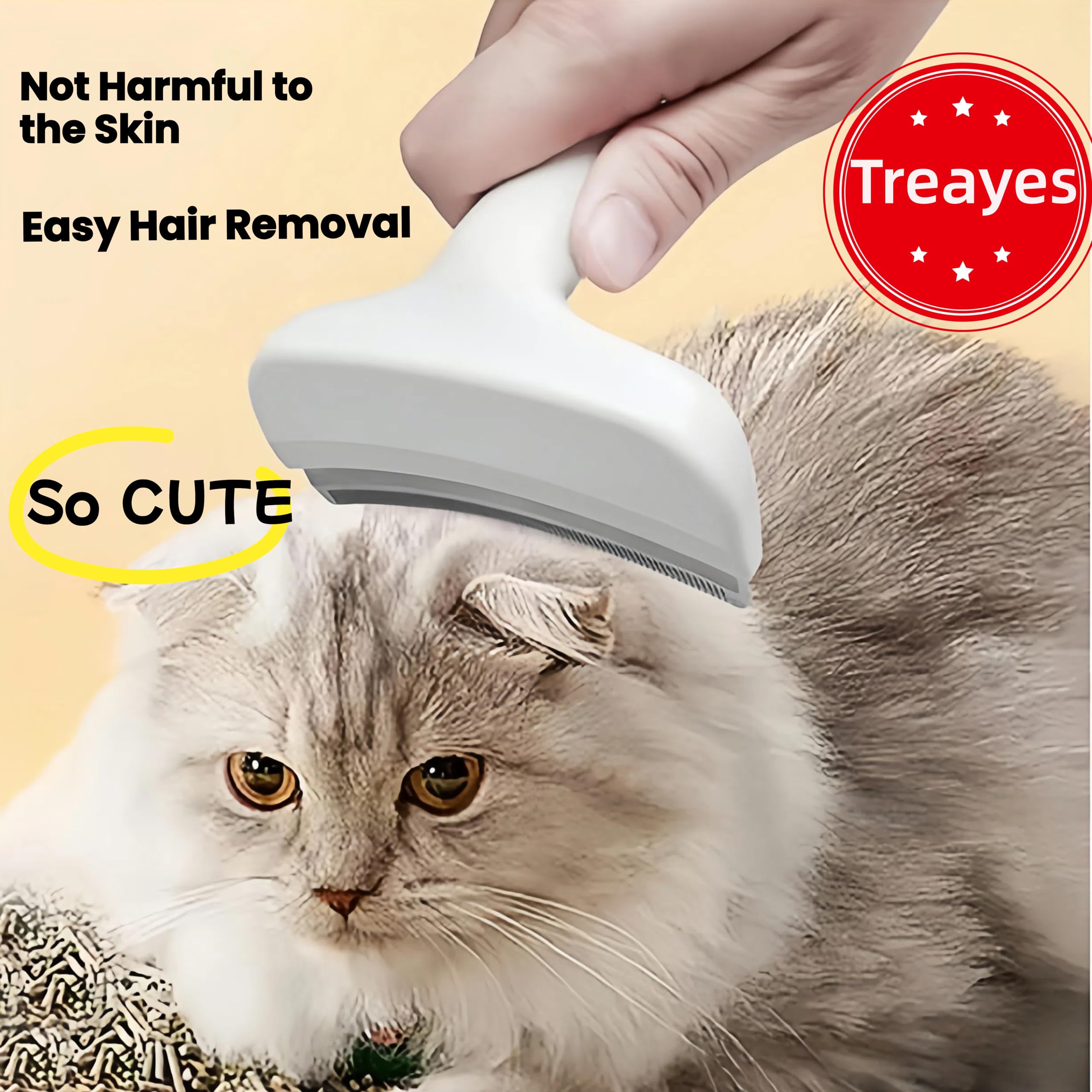 Treayes brosse en cours de nettoyage pour entretien facile