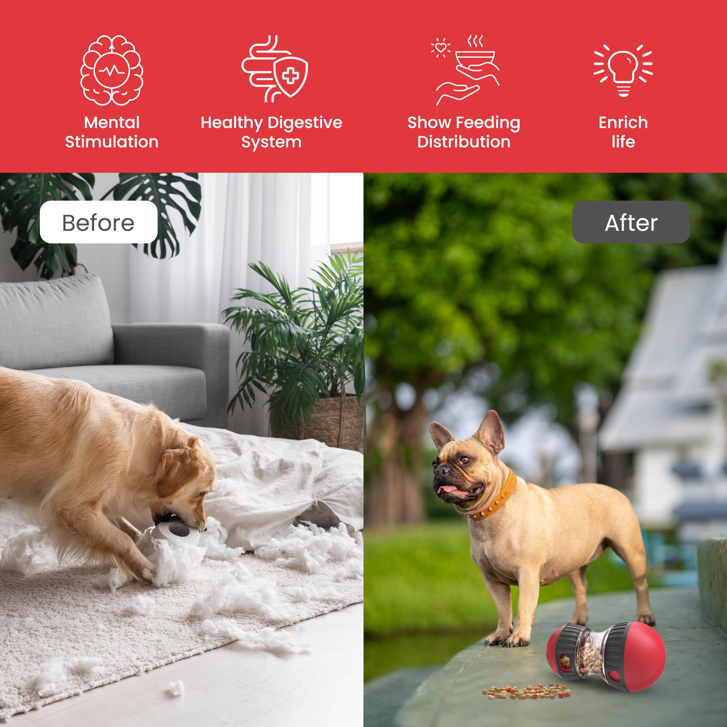 TRECKPET compartiment ouvert illustrant rangement facile et nettoyage