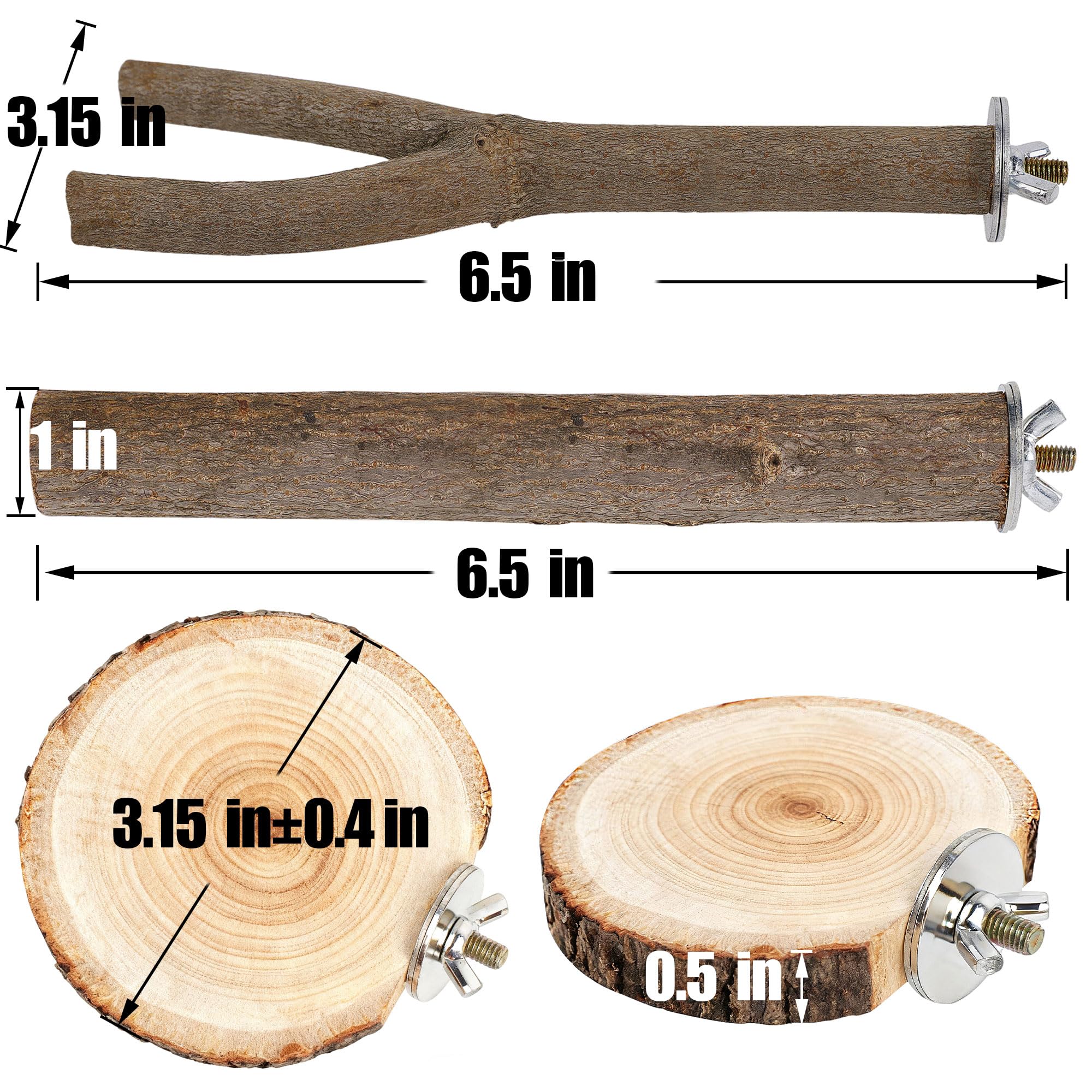 Treewoll gros plan sur texture du bois, favorise limage naturel