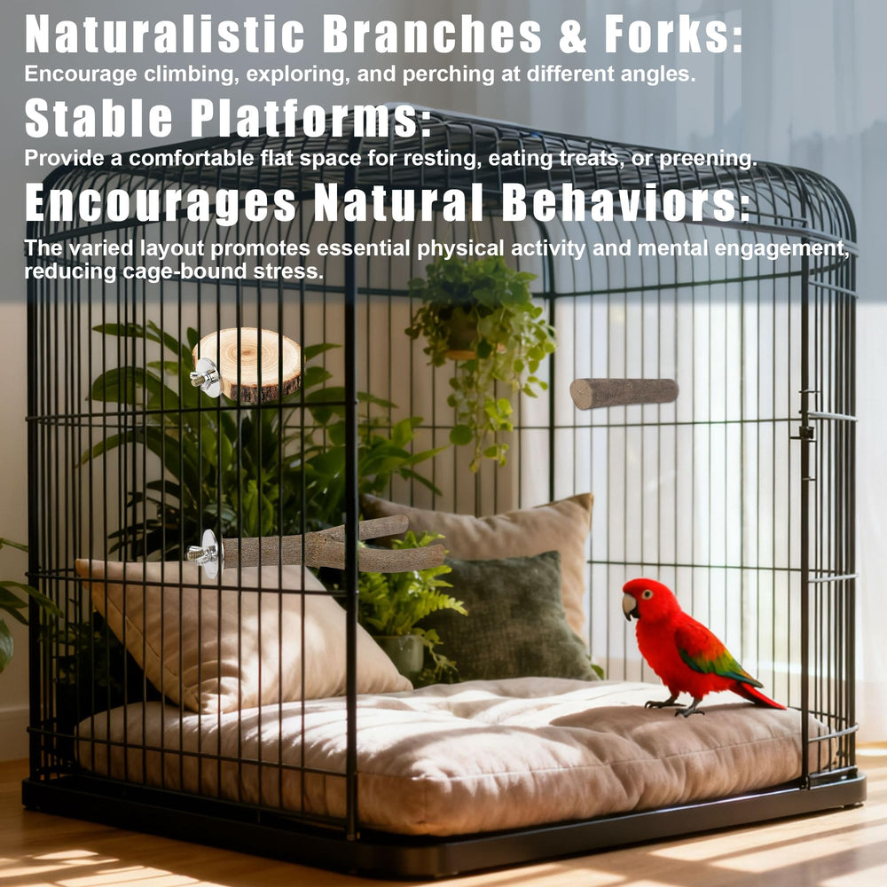 Treewoll perchoirs installés dans une cage, stimule activité de l’oiseau