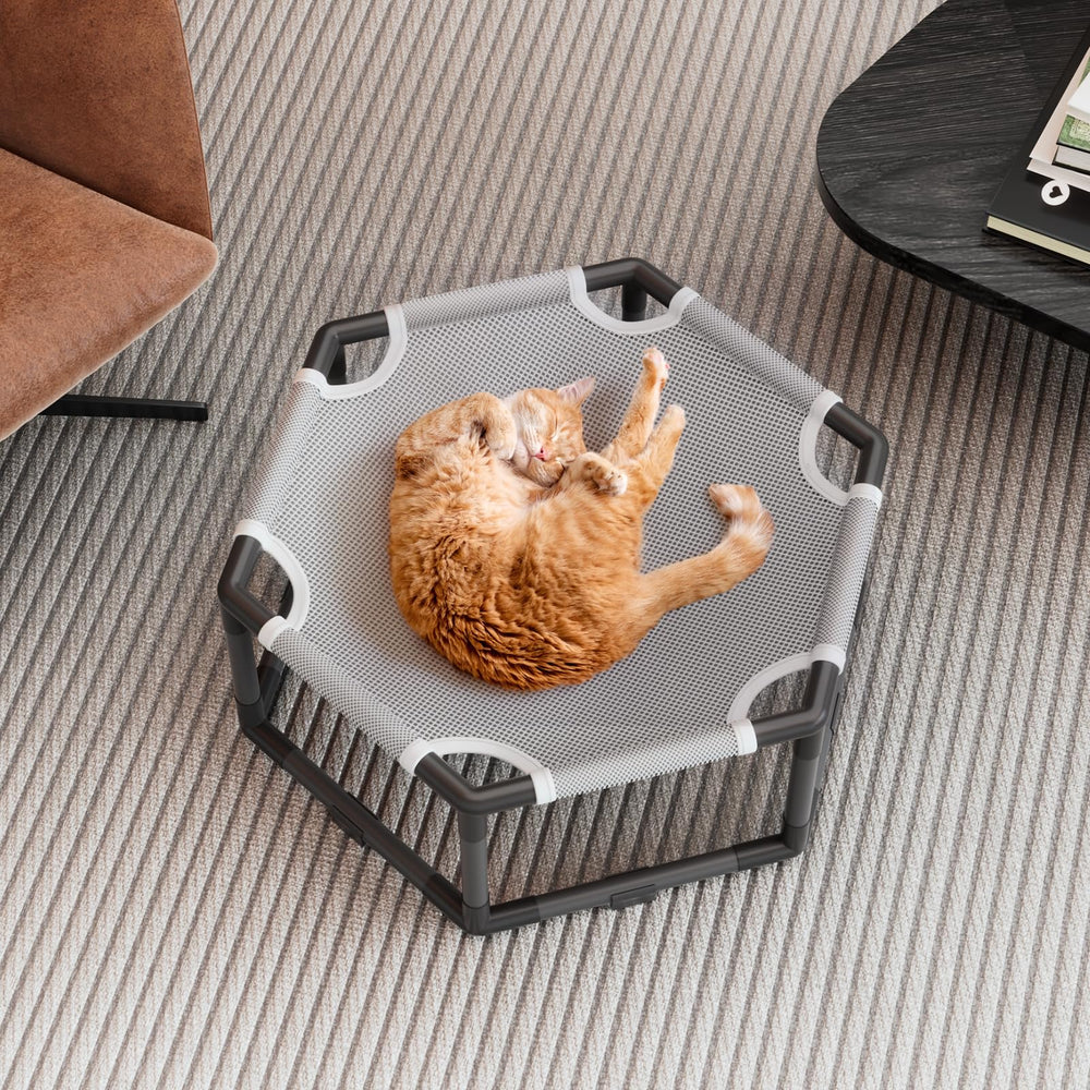 Tresbro hamac chat comparaison taille illustrant capacité pour plusieurs chats