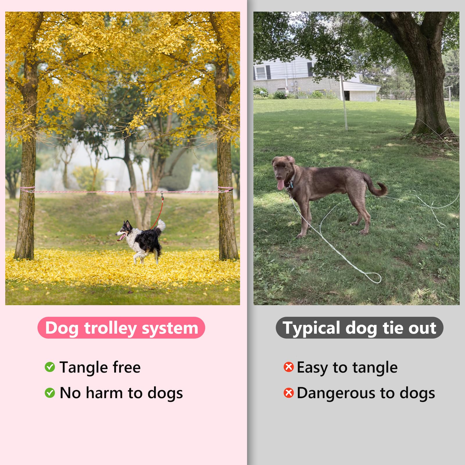 Tresbro longe en usage camping montrant liberté contrôlée pour chien