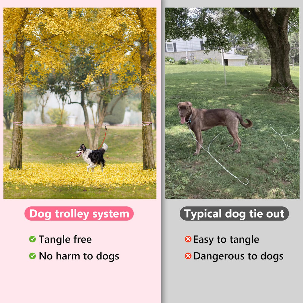 Tresbro longe en usage camping montrant liberté contrôlée pour chien