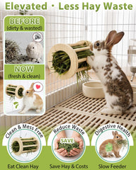 TriGia Paws en usage avec lapin stimulant activité et alimentation