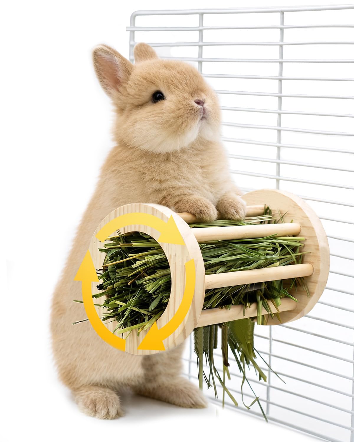 TriGia Paws vue avant montrant rangement foin et design anti-gaspillage