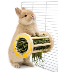 TriGia Paws vue avant montrant rangement foin et design anti-gaspillage